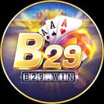 b29 win Profile Picture