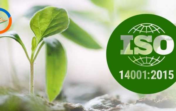 How to demonstrate leadership according to ISO 14001:2015
