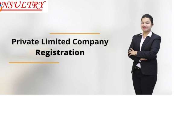 Pvt Ltd Company Registration in Bangalore