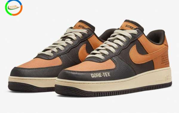 Brand New 2021 Nike Air Force 1 Gore-Tex Sneakers DO2760-220